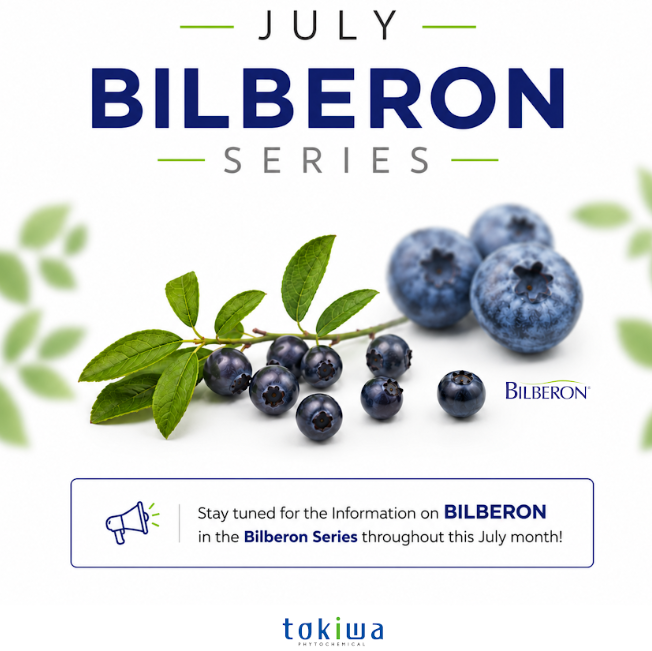 BILBERON July Series